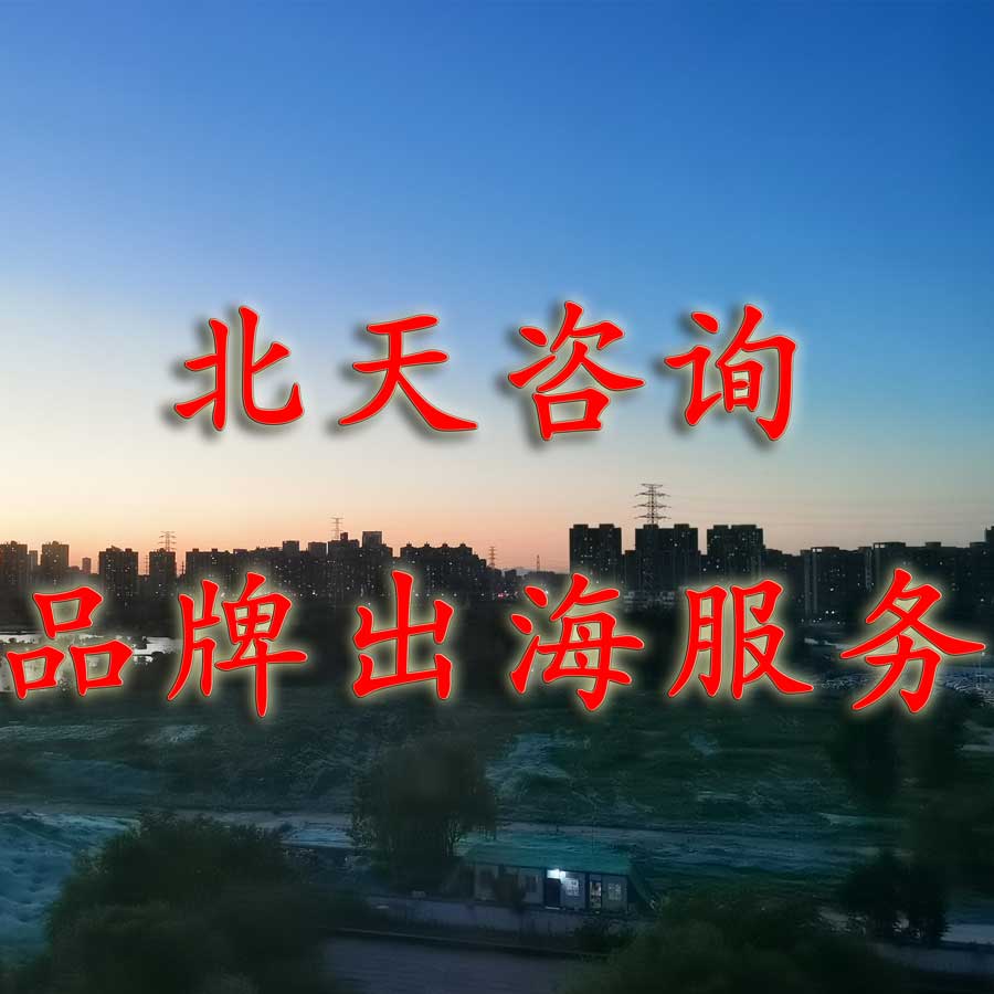 品牌出海服务